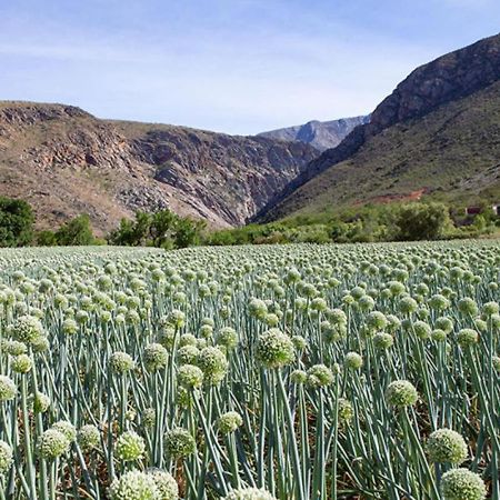 Varkenskraal Farm De Rust Dış mekan fotoğraf