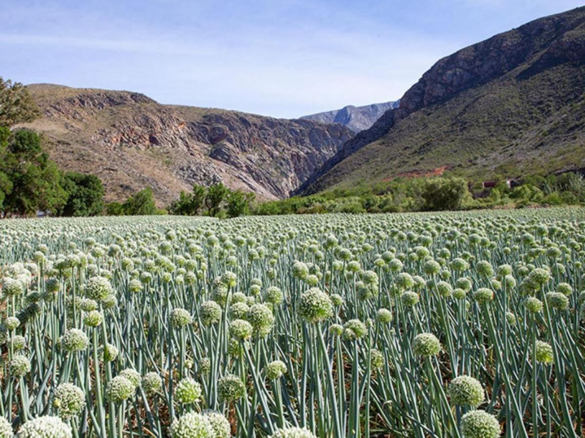 Varkenskraal Farm De Rust Dış mekan fotoğraf